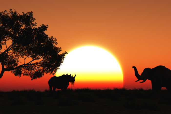 AFRICA